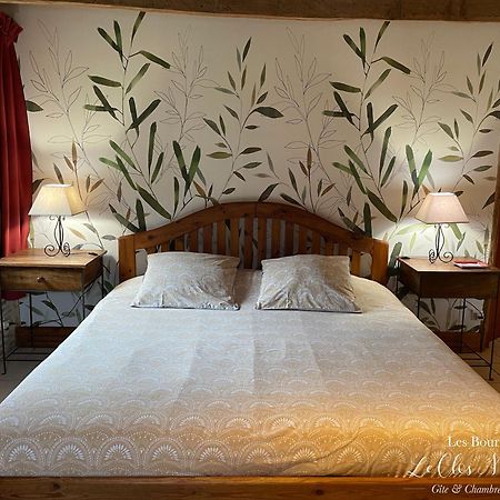 Chambres D'Hotes Les Bournais - Le Clos Milady L'Ile-Bouchard Buitenkant foto