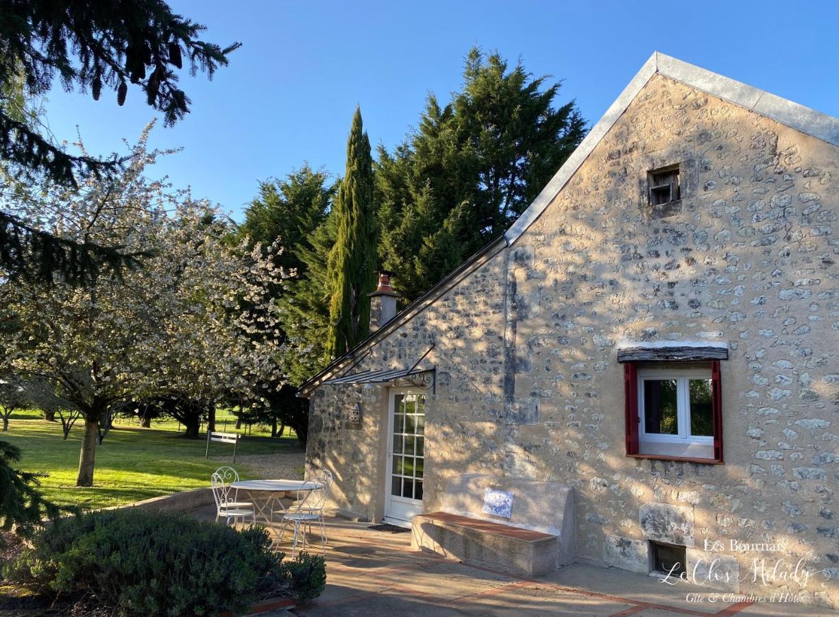 Chambres D'Hotes Les Bournais - Le Clos Milady L'Ile-Bouchard Buitenkant foto