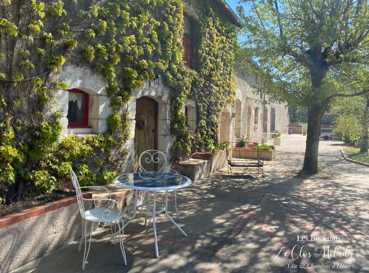 Chambres D'Hotes Les Bournais - Le Clos Milady L'Ile-Bouchard Buitenkant foto
