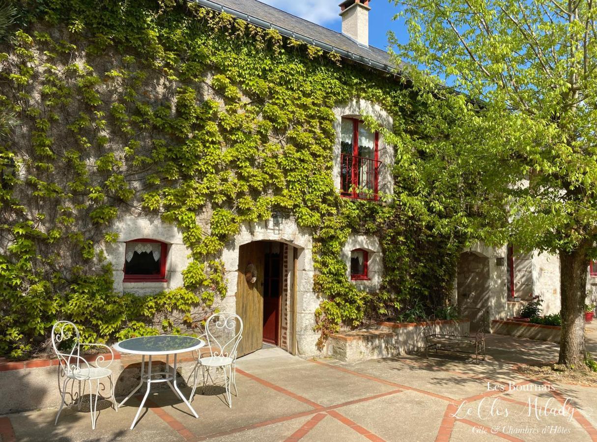 Chambres D'Hotes Les Bournais - Le Clos Milady L'Ile-Bouchard Buitenkant foto