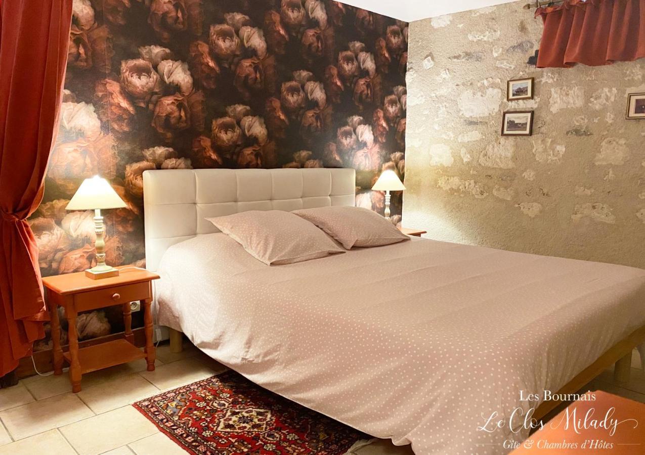Chambres D'Hotes Les Bournais - Le Clos Milady L'Ile-Bouchard Buitenkant foto