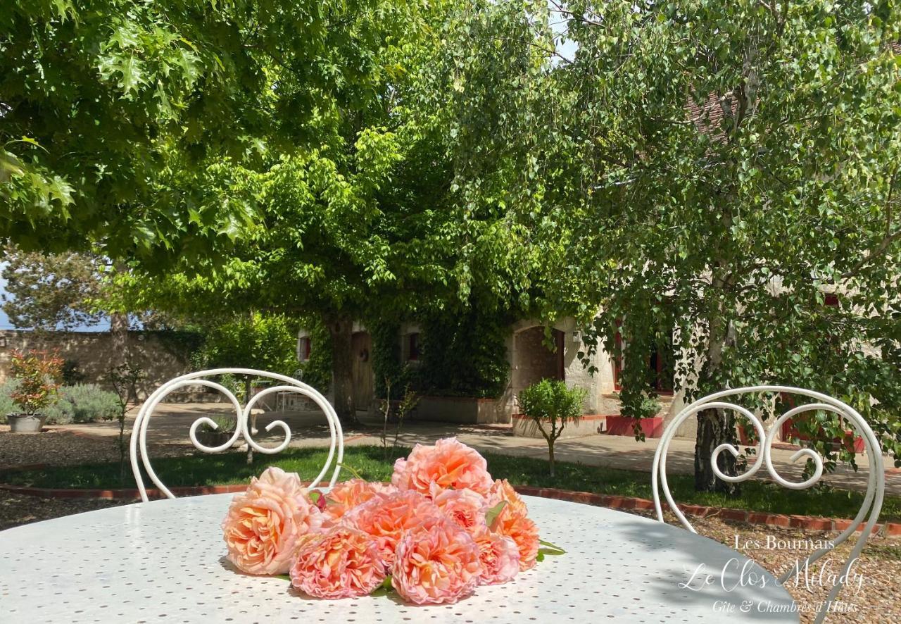 Chambres D'Hotes Les Bournais - Le Clos Milady L'Ile-Bouchard Buitenkant foto