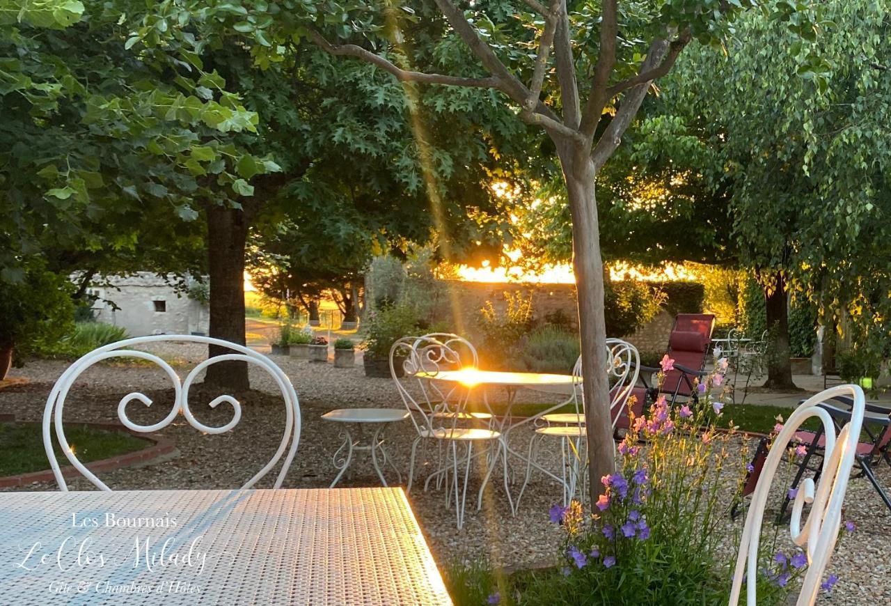 Chambres D'Hotes Les Bournais - Le Clos Milady L'Ile-Bouchard Buitenkant foto