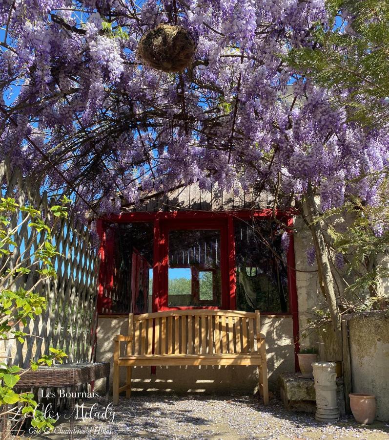Chambres D'Hotes Les Bournais - Le Clos Milady L'Ile-Bouchard Buitenkant foto