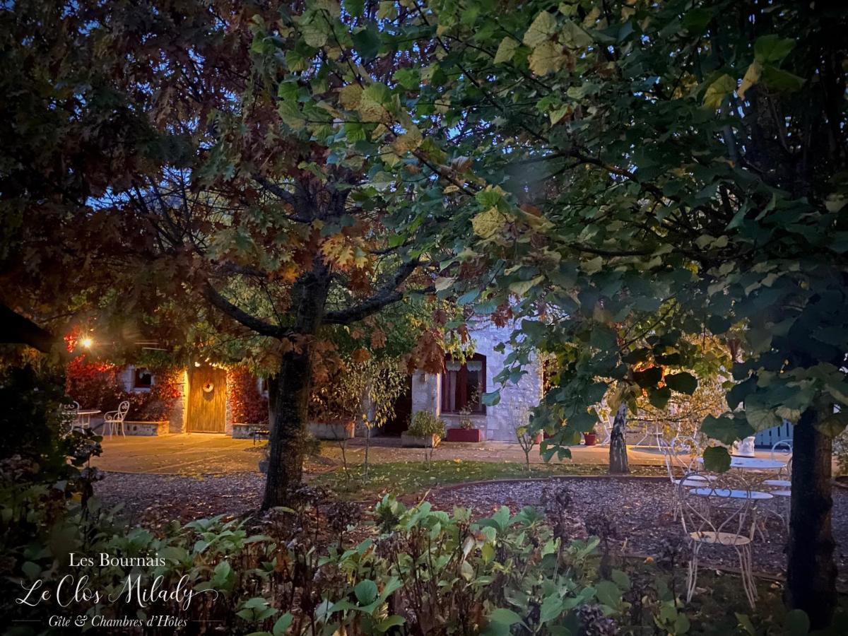 Chambres D'Hotes Les Bournais - Le Clos Milady L'Ile-Bouchard Buitenkant foto