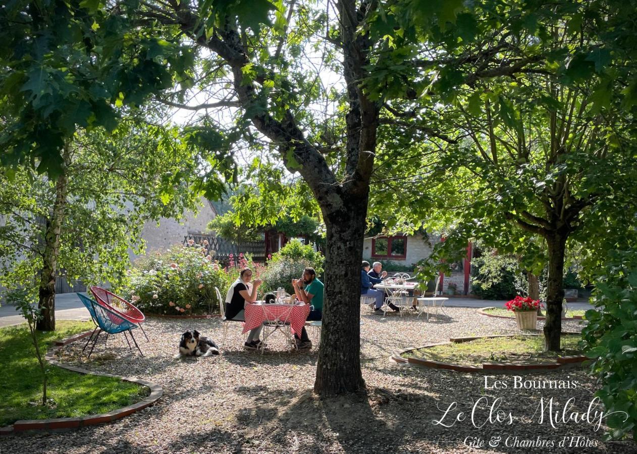 Chambres D'Hotes Les Bournais - Le Clos Milady L'Ile-Bouchard Buitenkant foto