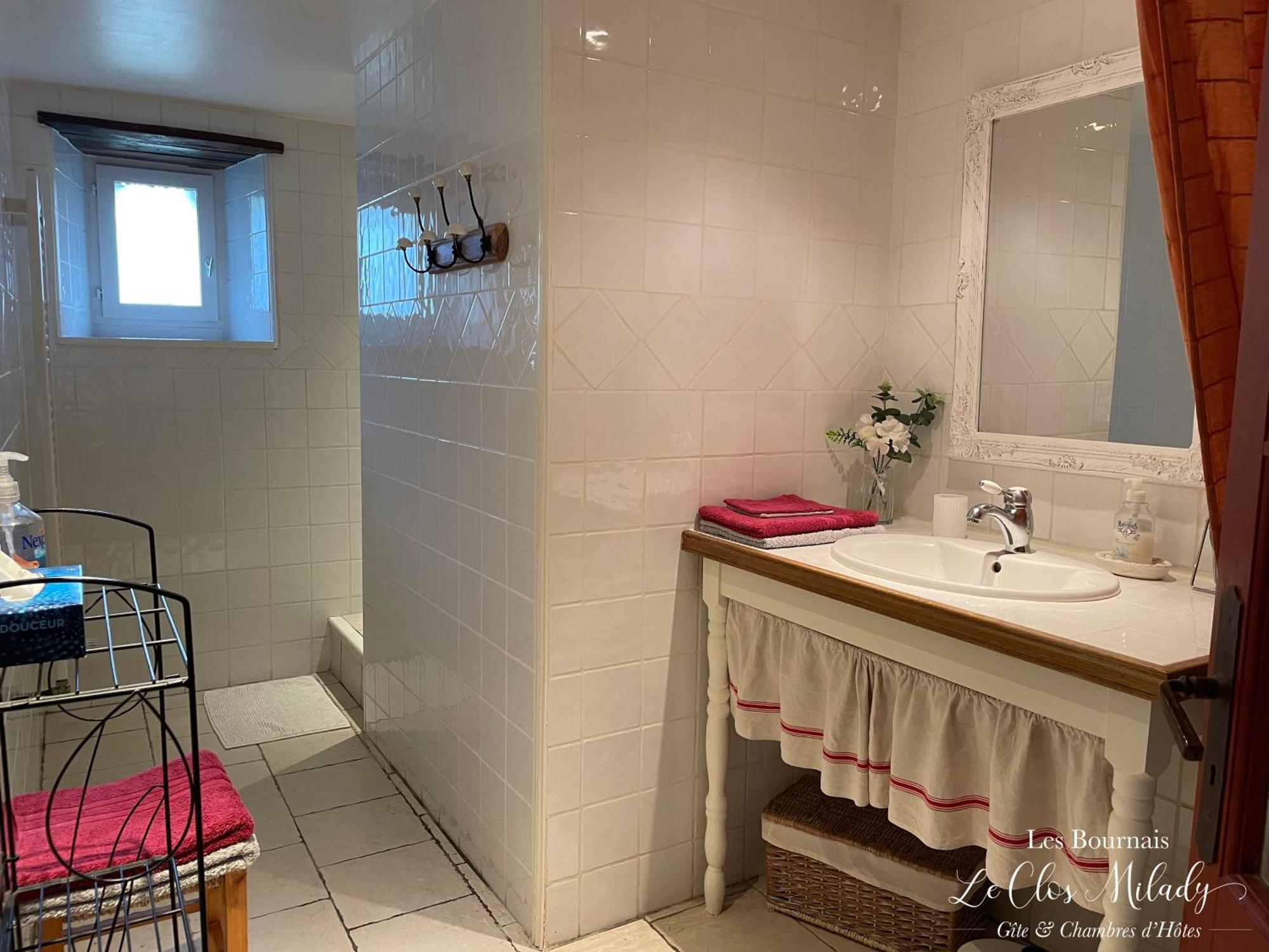 Chambres D'Hotes Les Bournais - Le Clos Milady L'Ile-Bouchard Buitenkant foto