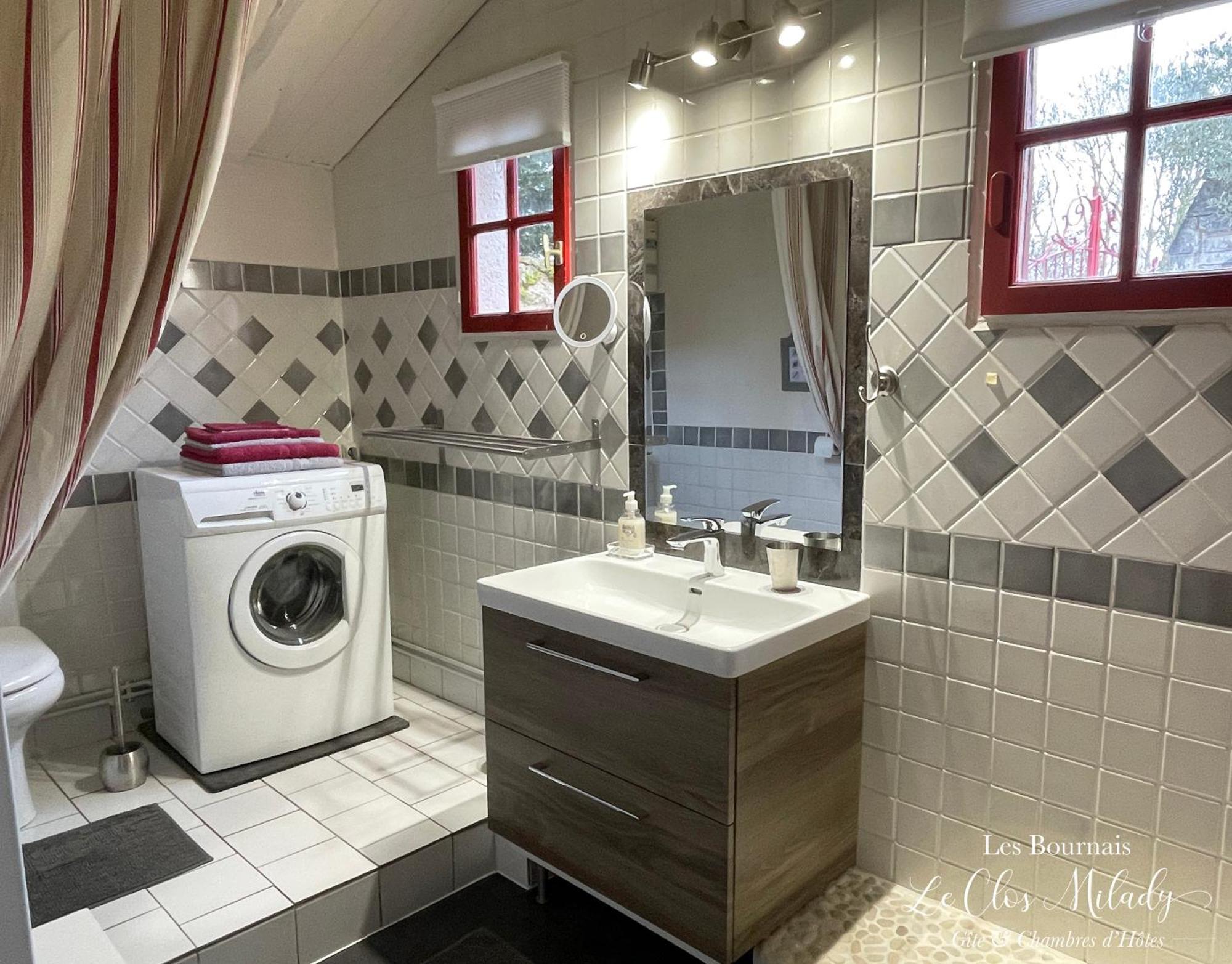 Chambres D'Hotes Les Bournais - Le Clos Milady L'Ile-Bouchard Buitenkant foto